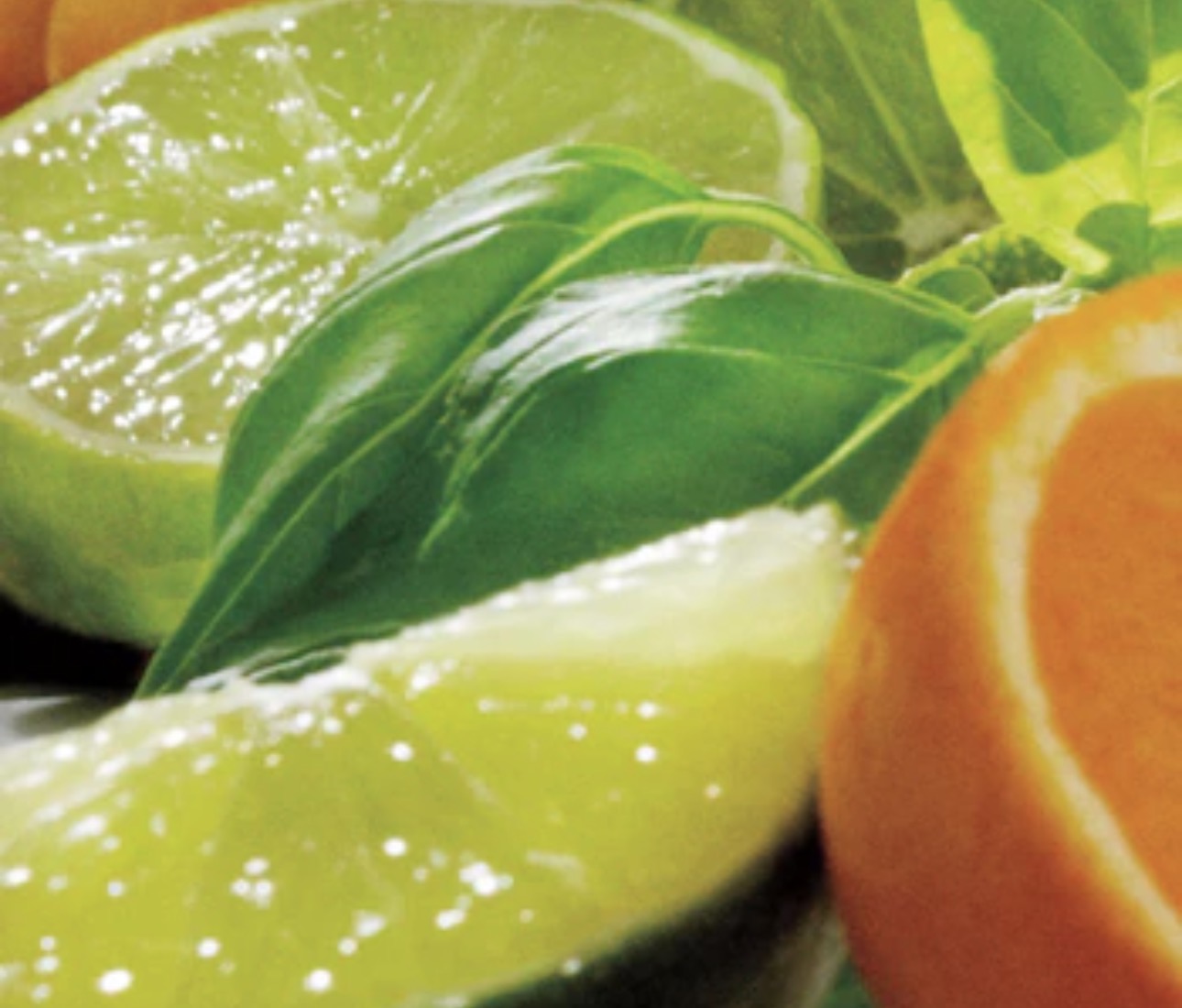 Hand Soap Lime, Basil and Mandarin